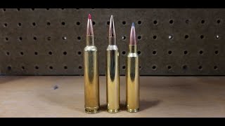 The 30 Caliber Magnum Showdown: Which is the best 30 Caliber Magnum?