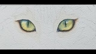 How to Paint Cat Eyes in Watercolor