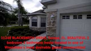 11248 Blacksmith Dr, Tampa, FL 33626 Westchase Real Estate video tour by The Duncan Duo