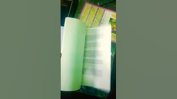 Lucknow University BBA Nep Internship Report Pdf