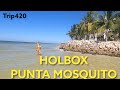 HOLBOX PUNTA MOSQUITO