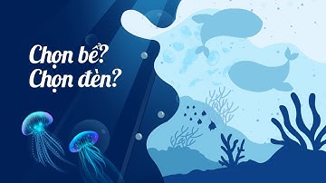 Chọn bể, đèn nuôi cá biển, san hô