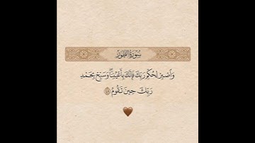 اسمعها بقلبك ❤️ تلاوة تهز المشاعر بصوت #ياسر_الدوسري 🌿 #سورة_الطور #قرآن_كريم #راحة_نفسية #quran