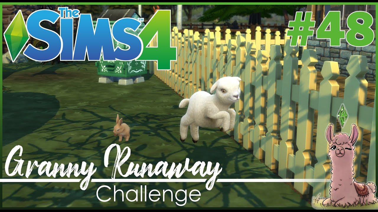 Sim Ranawayyy Part 48 Ein schöner Hoftag | Die Sims 4 Granny Runaway Challenge ...