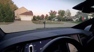 Tesla Model X- Interior & Gear Shifting Tesla Model X Shifting