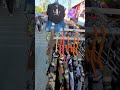 Walk through the Festival