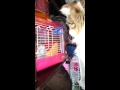 食べちゃいたいくらいに...