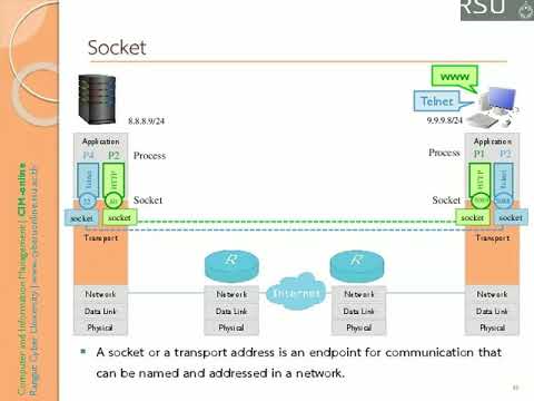 socket คือ  2022 Update  ในโลกอินเทอร์เน็ต Socket คือ อะไร ?