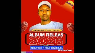 King vibes ft worship soft life hit song 2026 screenshot 3