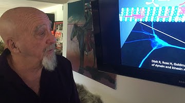 Stuart Hameroff lecture SPARC project ORch-OR conference