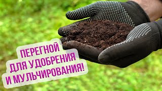 Как использовать перегной на грядках? Как приготовить перегной из навоза