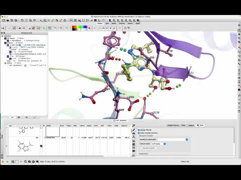 How to Save a Docked Receptor Ligand Complex as PDB via the GUI and command line. - video from Molsoft