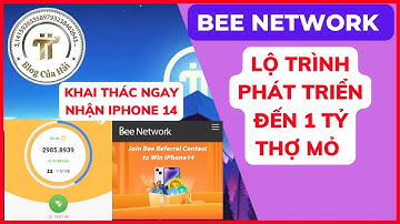Bee Network Là Gì l Lộ Trình Phát Triển Của Bee Network l Blog Của Hải