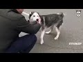 Bucha resident reunited with his doggo.