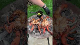 Coal Roasted Baja Lime Lobster | Over The Fire Cooking by Derek Wolf