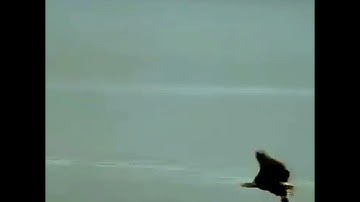 #واضرب لهم مثل الحياة الدنيا- سورة الكهف | #تلاوة_الشيخ_زين_محمد_أحمد