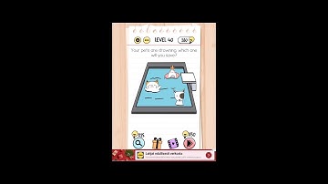 Brain Test Level 36 37 38 39 40