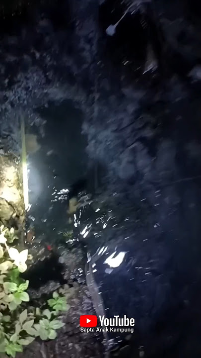 Monster eel in the gutter..!! #fishing #fypyoutube #widereach #fishing #fypシ゚viral #eel