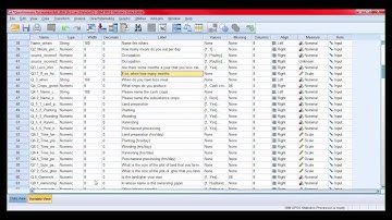 Sample data entry in spss ||Sample 3 Part 2||