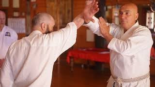 Mawashi uke (circle block) back bone of goju ryu karate  do screenshot 5