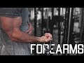 How To Build Huge Forearms (INSANE PUMP!!)