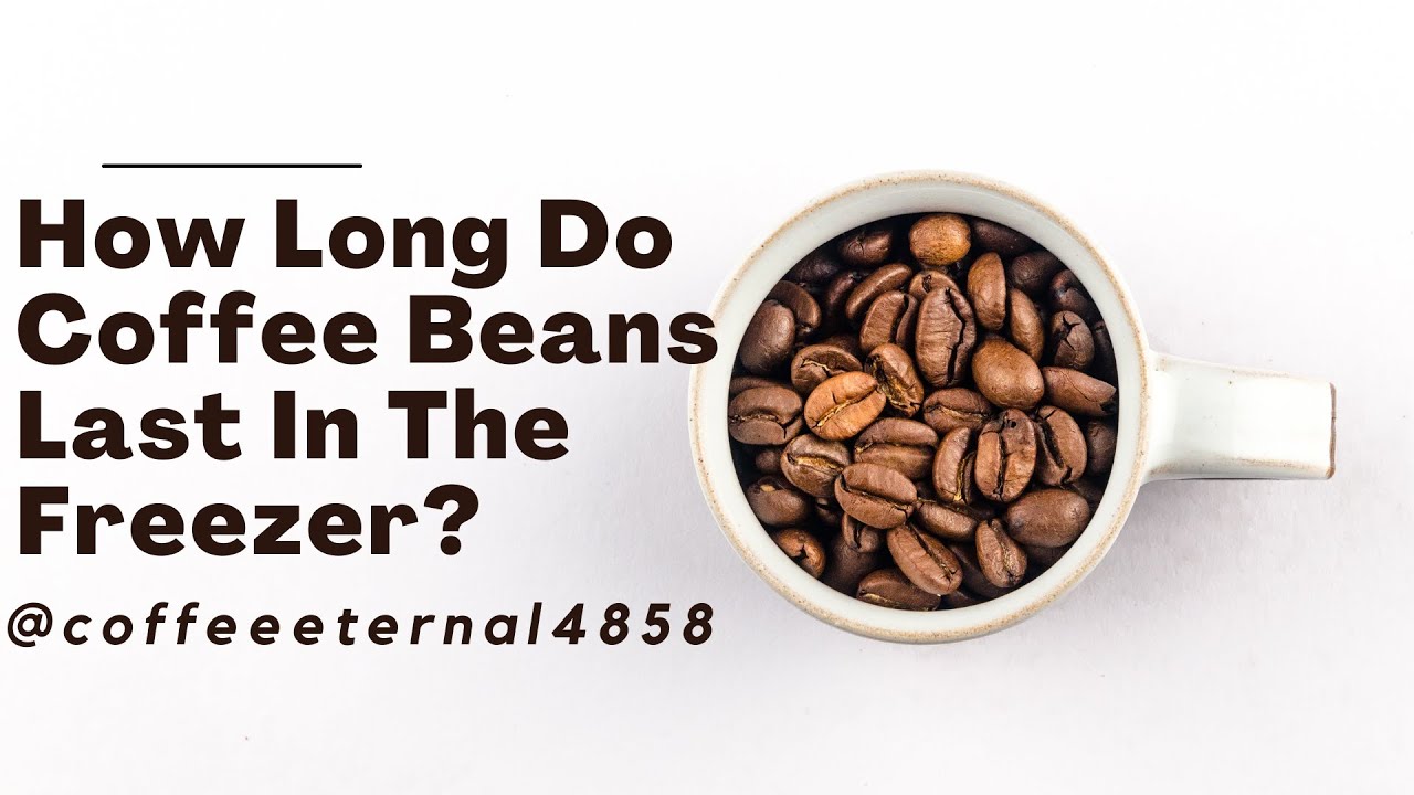 🙋🚁 How Long Do Coffee Beans Last In The Freezer! 🖤🤩 Descriptive Video