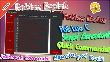 NEW Roblox Exploit: FulFlex Beta | Lua C executor | fe god, ppap, Duck & more commands !!!