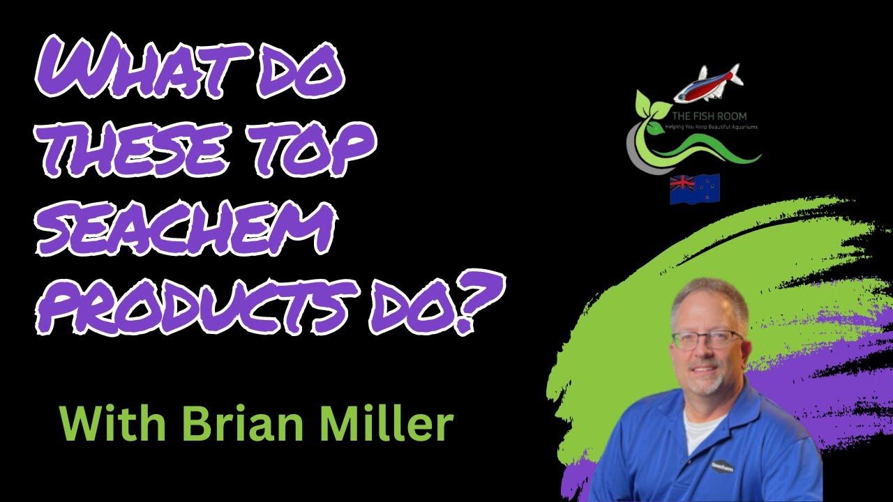 How Do These Seachem Top Selling Products Work YouTube how-do-these-seachem-top-selling-products-work-youtube