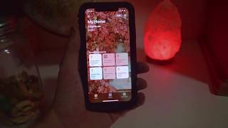 Major Apple HomeKit Problem! I NEED YOUR HELP!