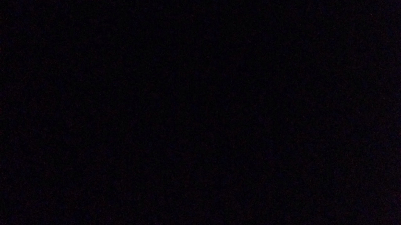 Live pus tijolin·-·