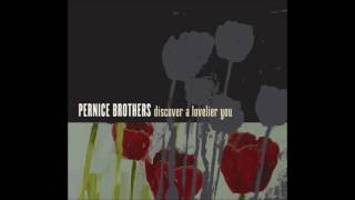 Watch Pernice Brothers There Goes The Sun video