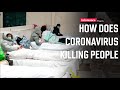 How coronavirus is killing people  infomance