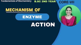 Mechanism of Enzyme Action B.Sc 2nd Year||Lock & Key Model| Induce Fit Model#mechanismofactionenzyme