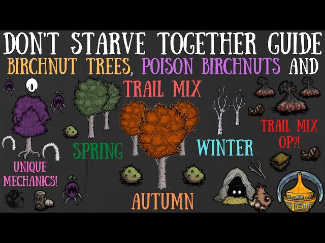 Poison Birchnuts, Trail Mix & Birchnut Trees Amazing - Starve Together Guide - YouTube