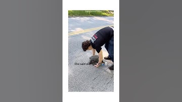 The Turtle Used Confusion 🐢😂 #turtle