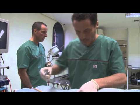 Video: Uw huisdier steriliseren of castreren