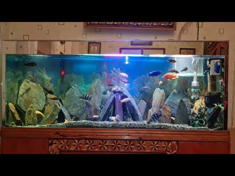 24 ოქტომბერი, 2020