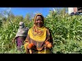 IMAGINE Buffalo 6-6-2023 - Jajean Rose-Burney, WNY Land Conservancy