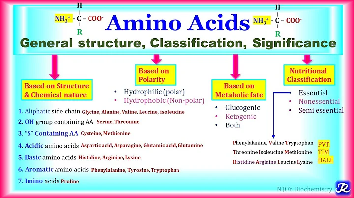 1: Amino Acids : General structure, Classification, Significance | Amino acid Chemistry-1| Biochem - DayDayNews