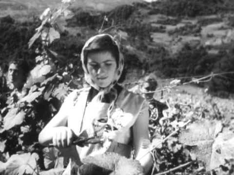 ხვანჭკარა khvanchkara хванчкара