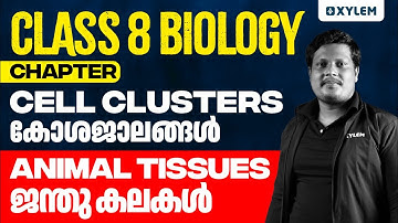 Class 8 Biology | Chapter: Cell Clusters - Animal Tissues | Xylem Class 8