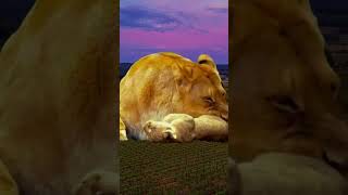 Amazing Lion mummy Edite from green screen video #lion #youtubeshorts #shortsvideo