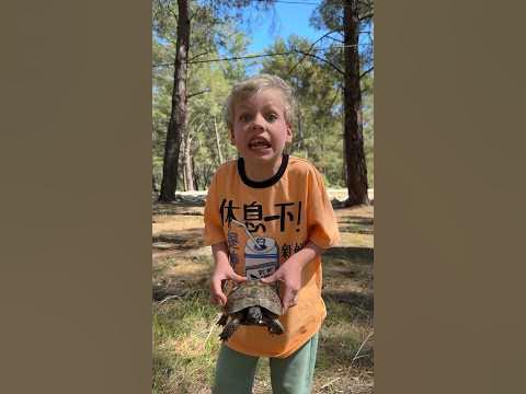 Улыбка года 🤣 - YouTube