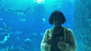 Ginger海南島旅遊1081206-10海底世界3
