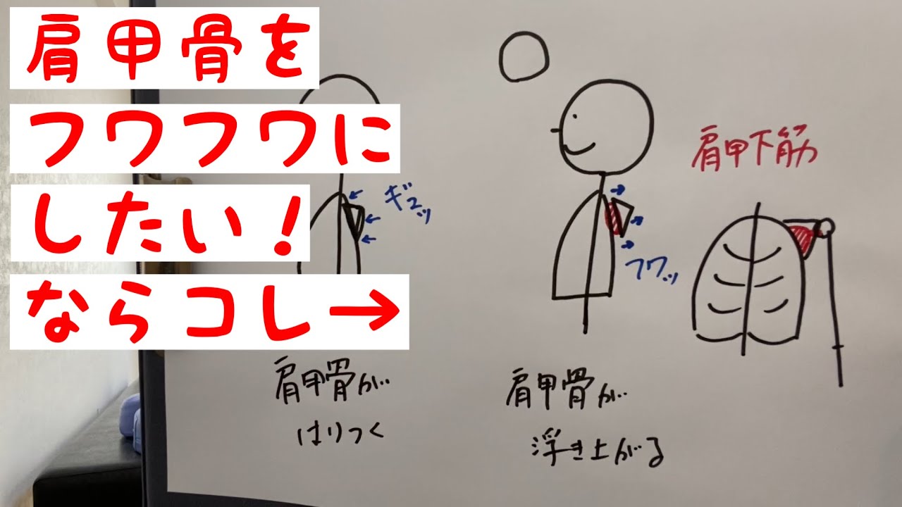 肩甲骨をしなやかにする肩甲下筋のケア