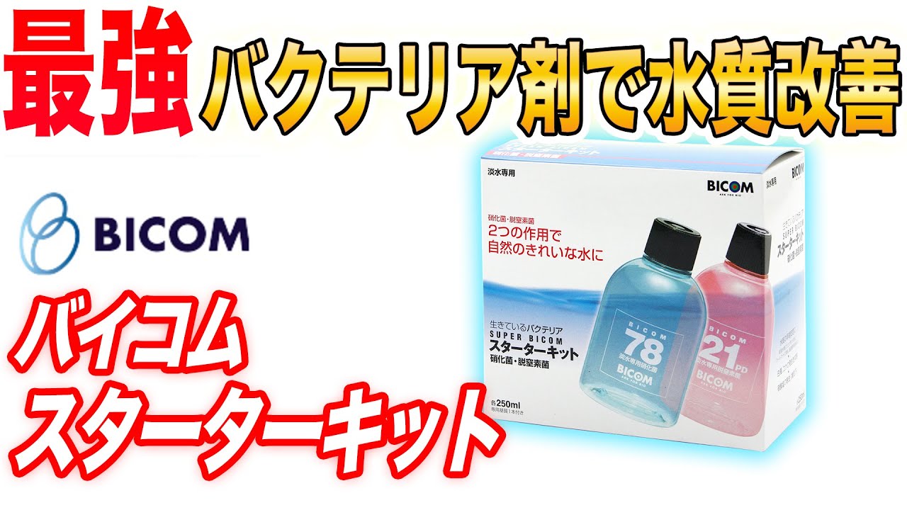 バクテリアって何 オススメはコレ Youtube