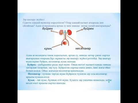 Қара гей порно