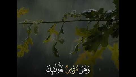 القارئ شیخ جاسم کرکوکي سورة (غافر)