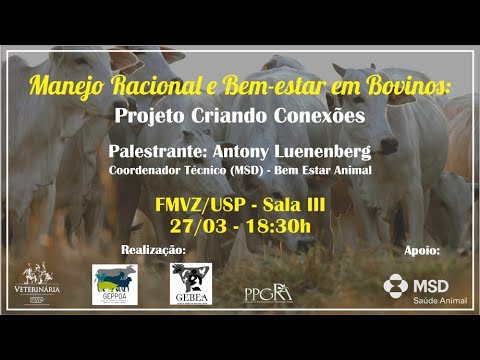 Manejo Racional e Bem-Estar de Bovinos