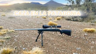 Caza con Ruger cal .300 WIN MAG 